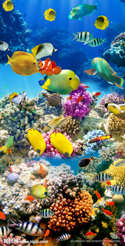 海底玄关世界
