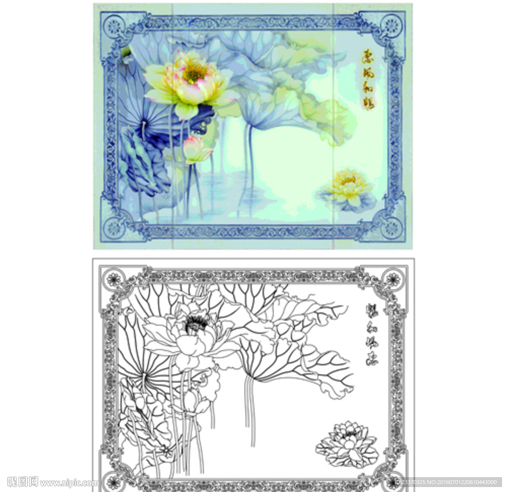 荷花