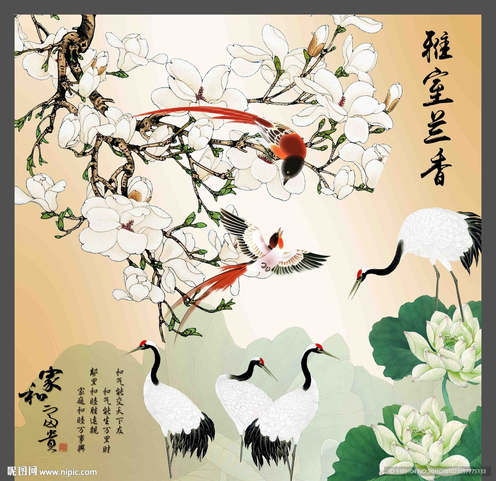玉兰花