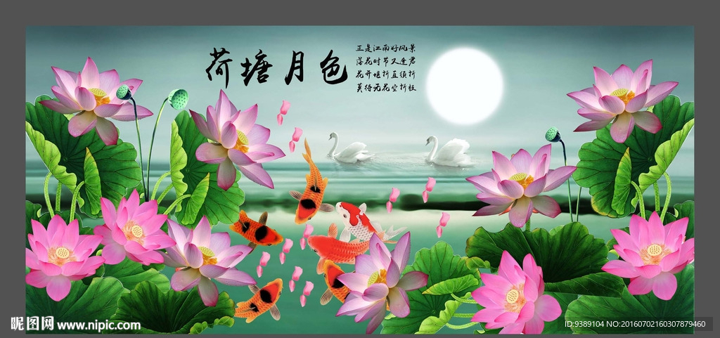 荷花