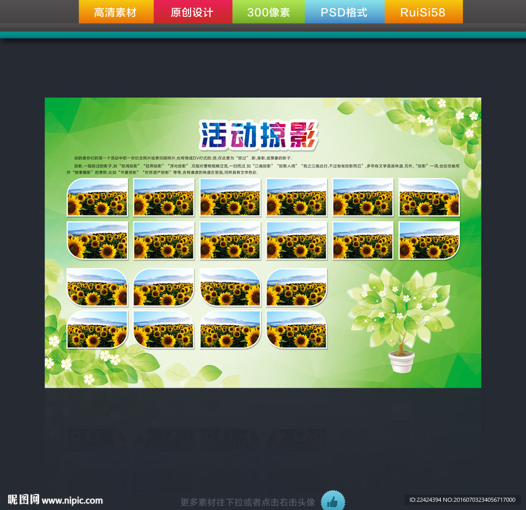 活动掠影
