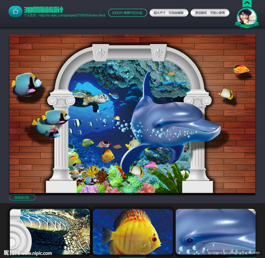 3d墙画 海豚 海龟