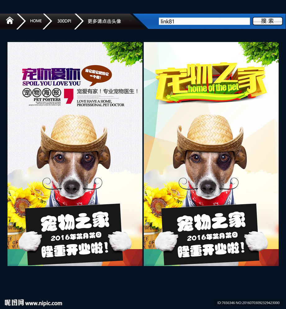 宠物 创意设计