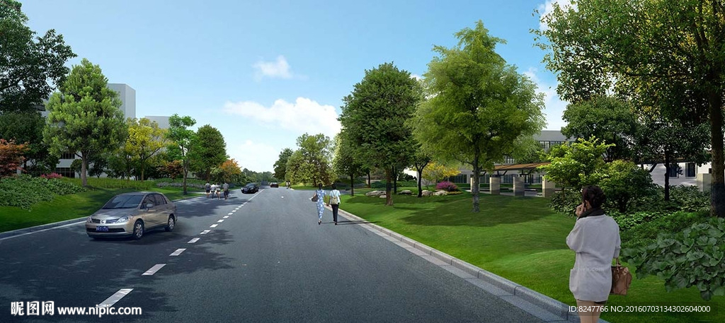 公路两侧灌木景观效果图