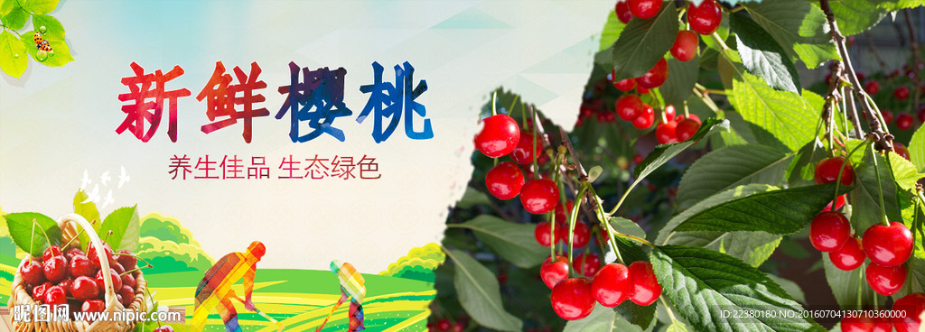 樱桃