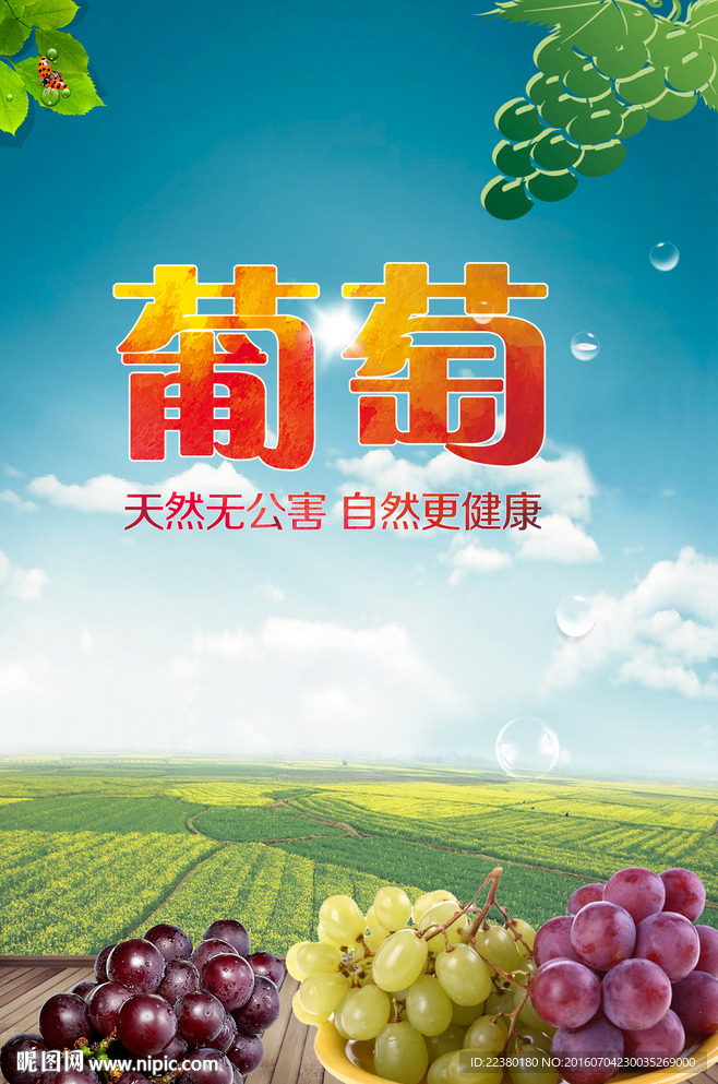 葡萄