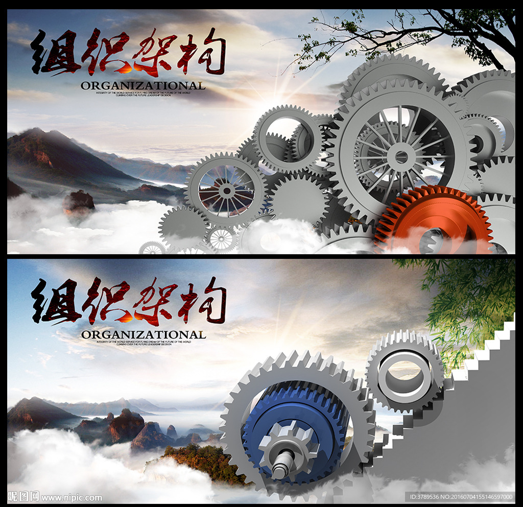 齿轮结构
