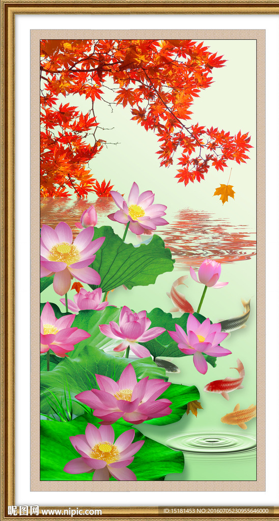 荷花鲤鱼