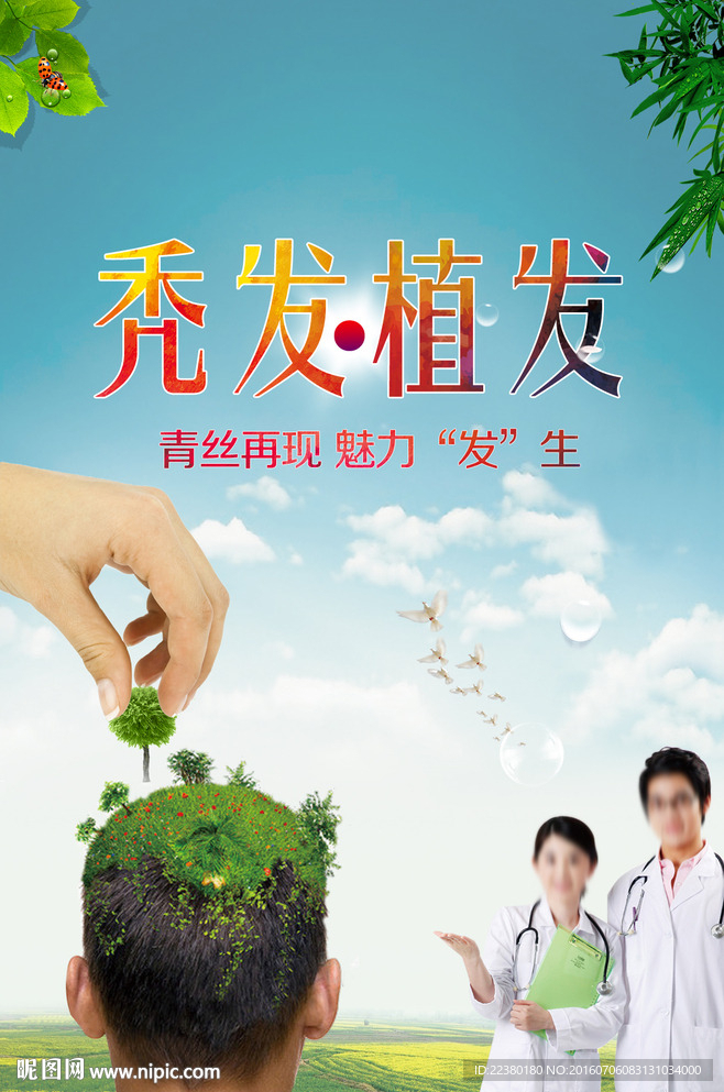 秃头 植发