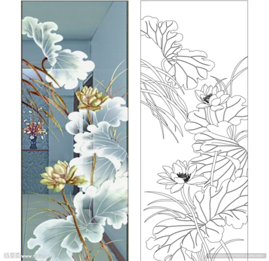 荷花