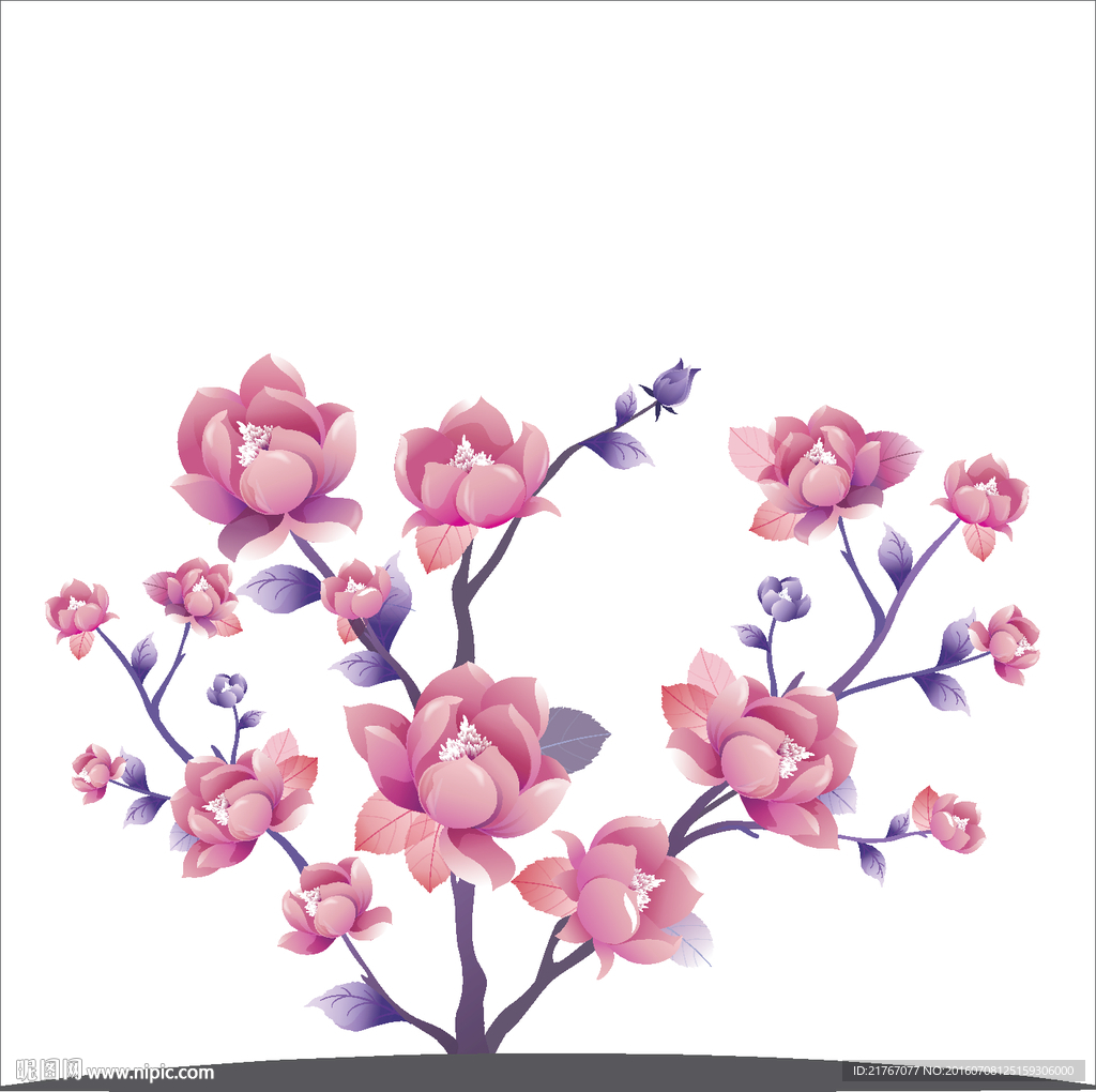 贝贝花