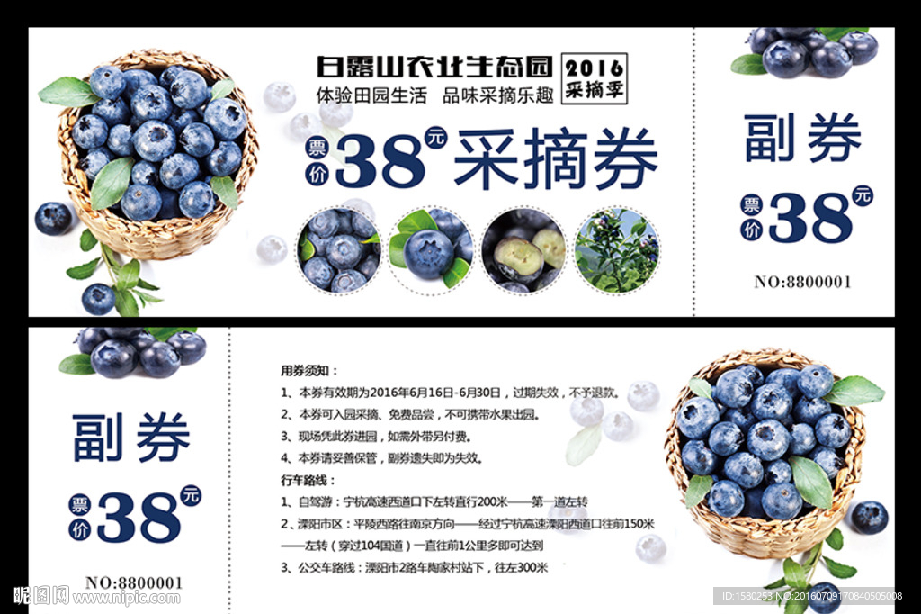 蓝莓采摘券