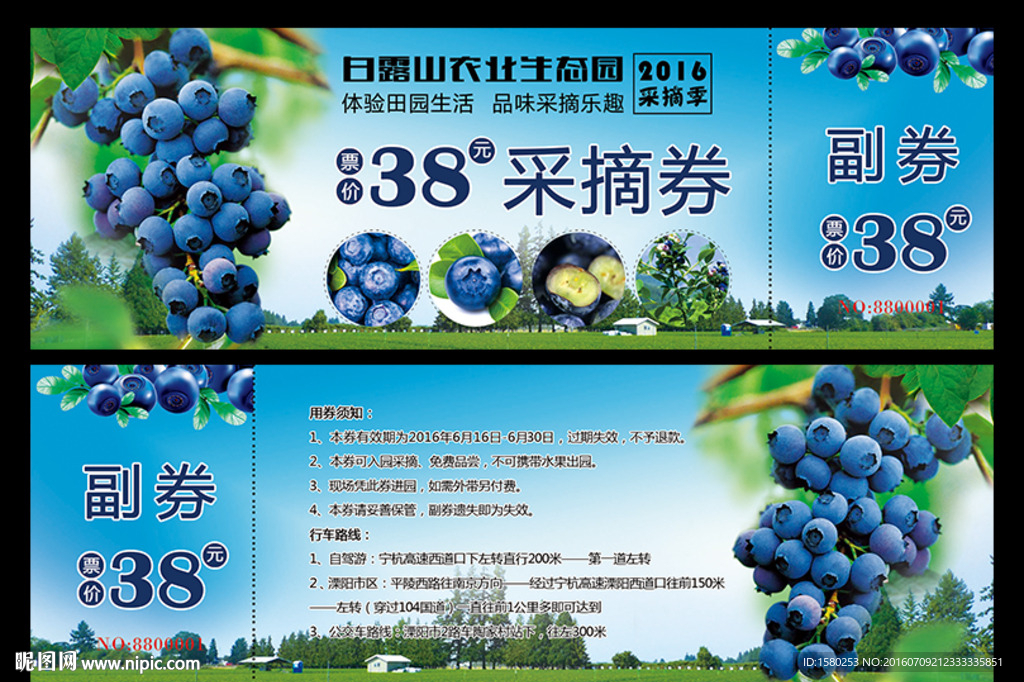 蓝莓采摘券