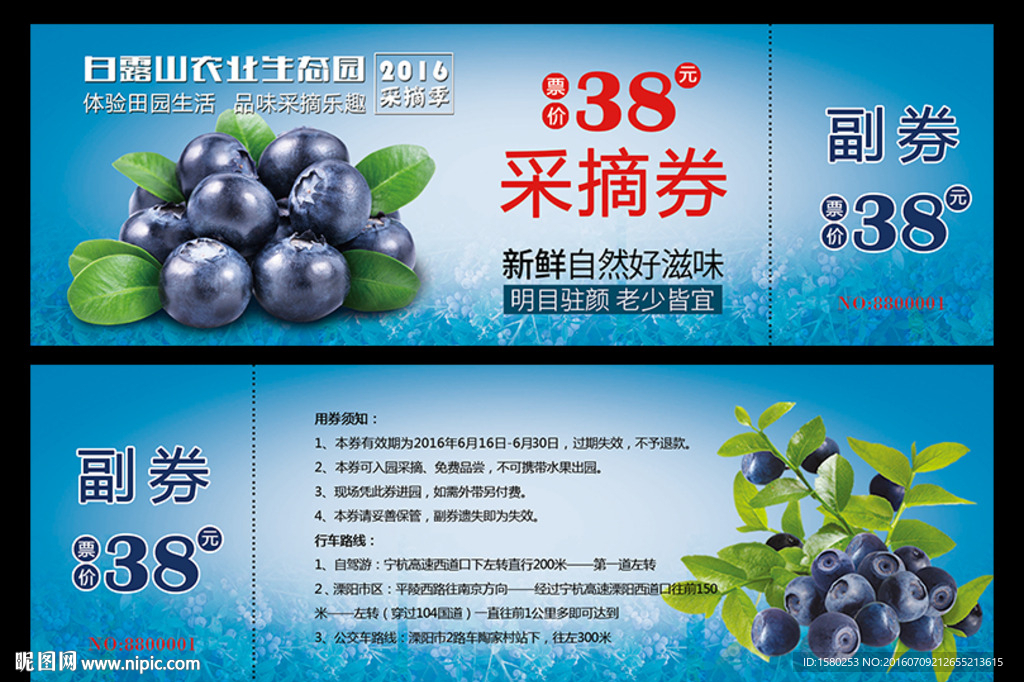 蓝莓采摘券