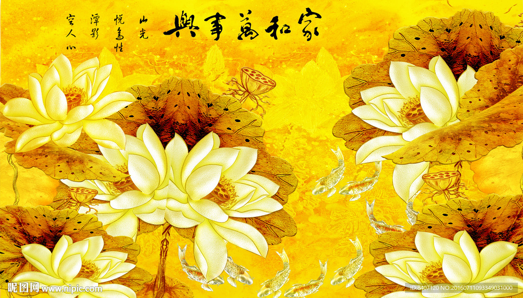 国画荷花