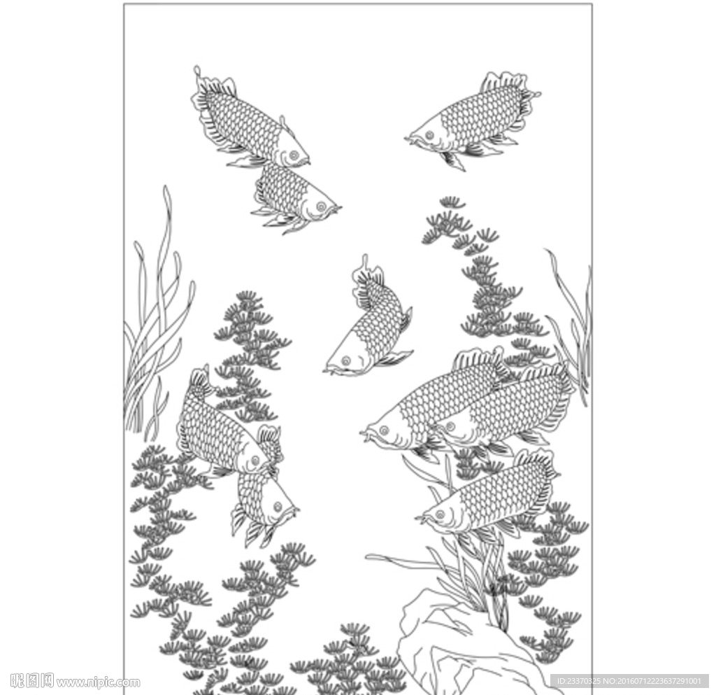 金龙鱼