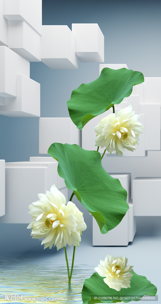 3d玄关荷花