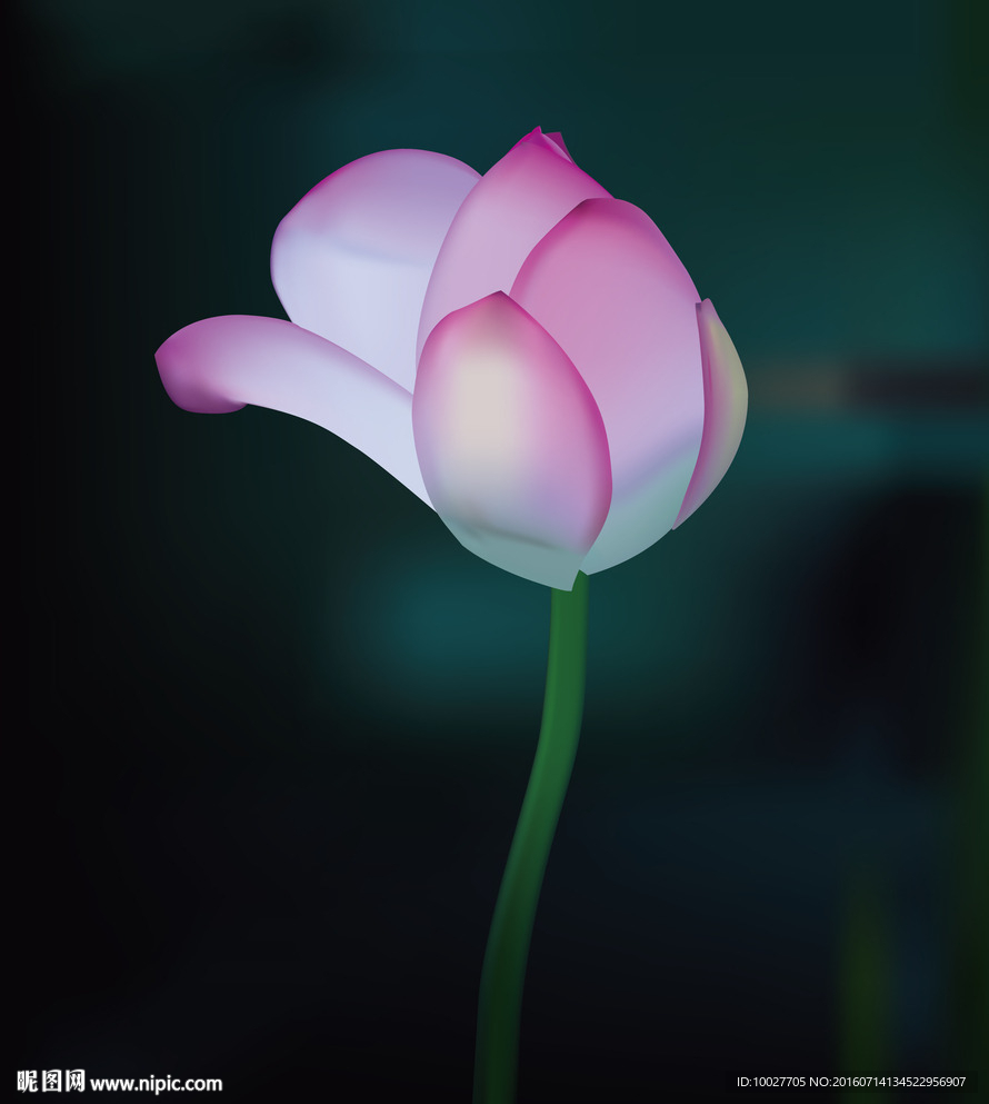 矢量荷花