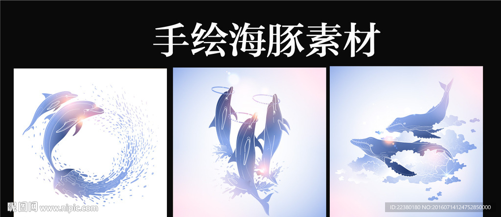 海豚