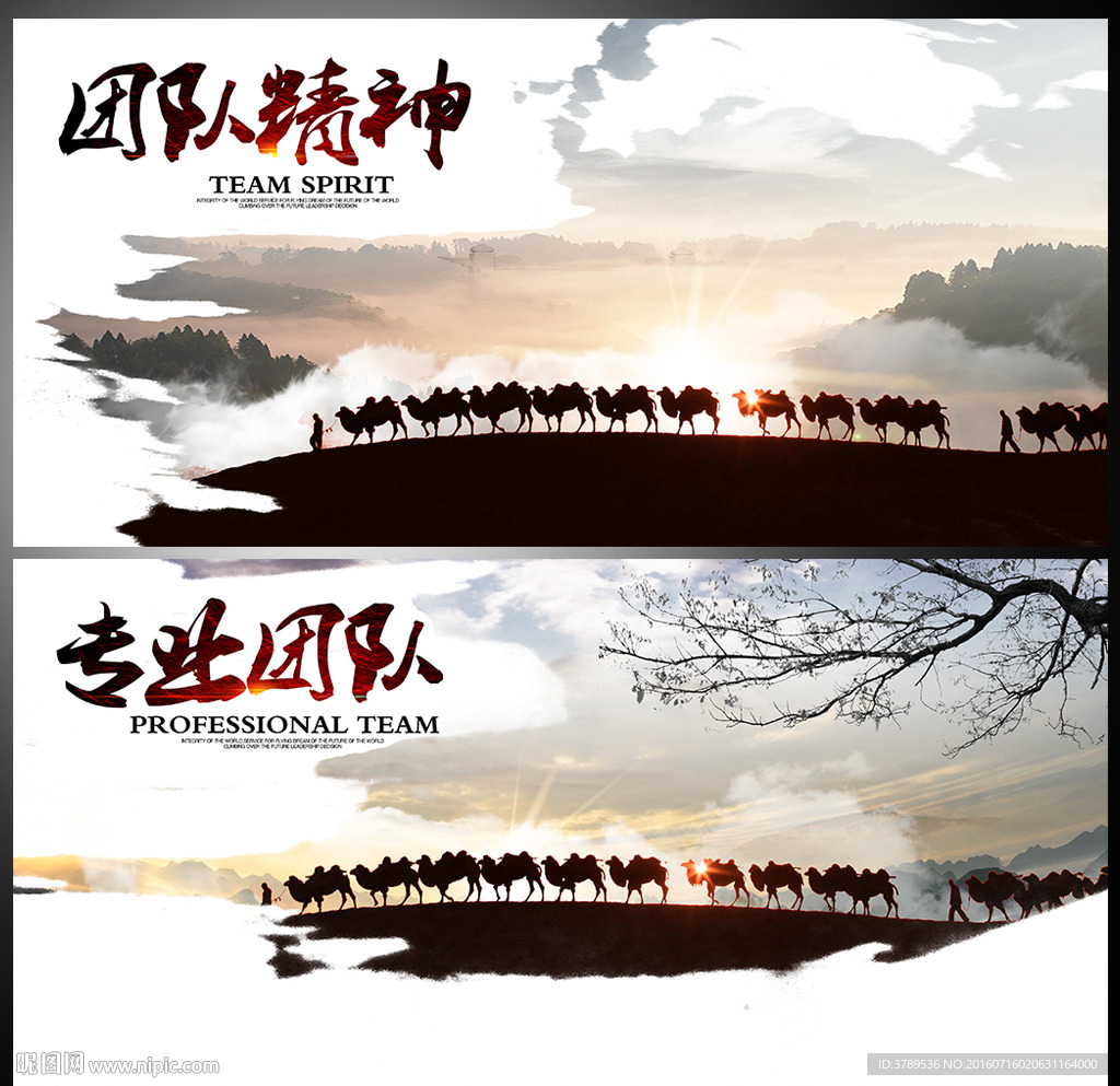 企业理念