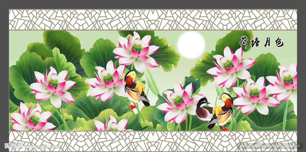 荷花