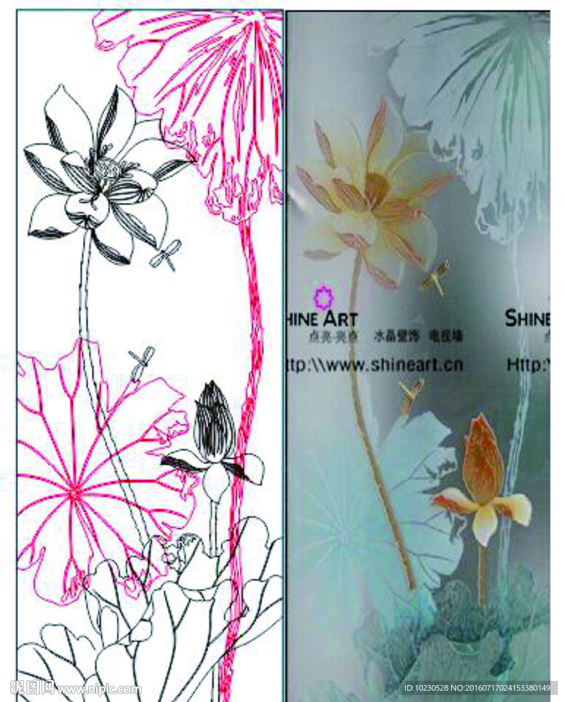 荷花
