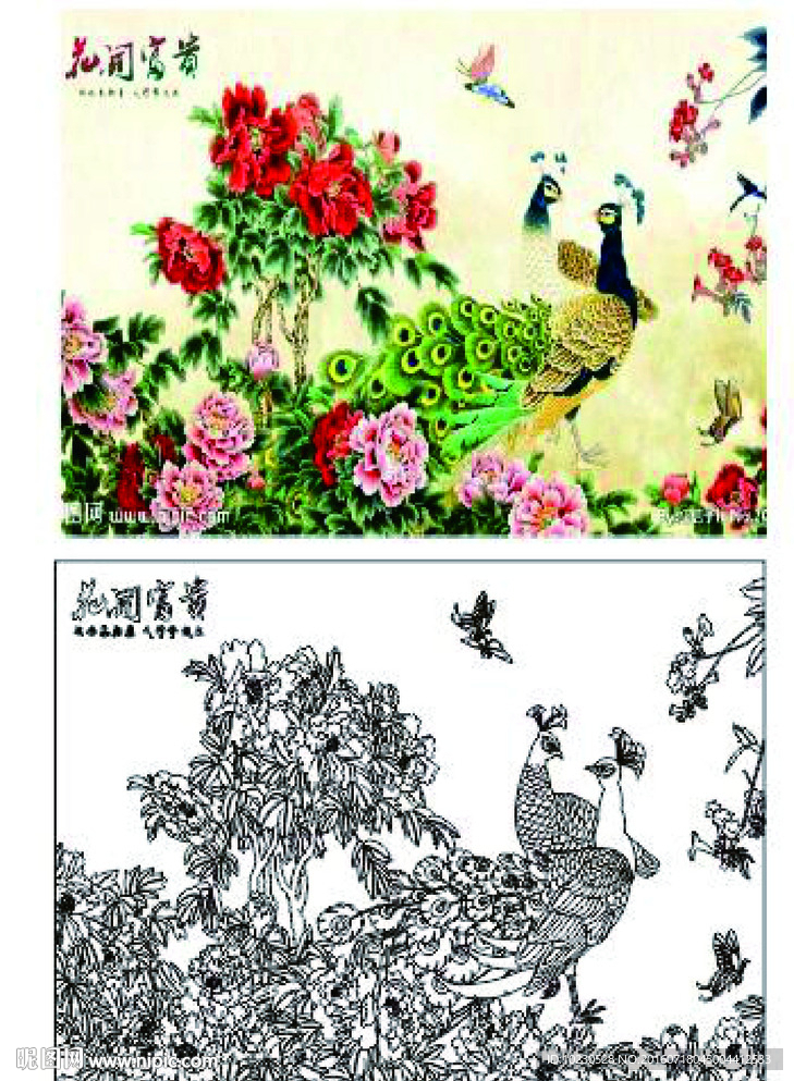 孔雀牡丹