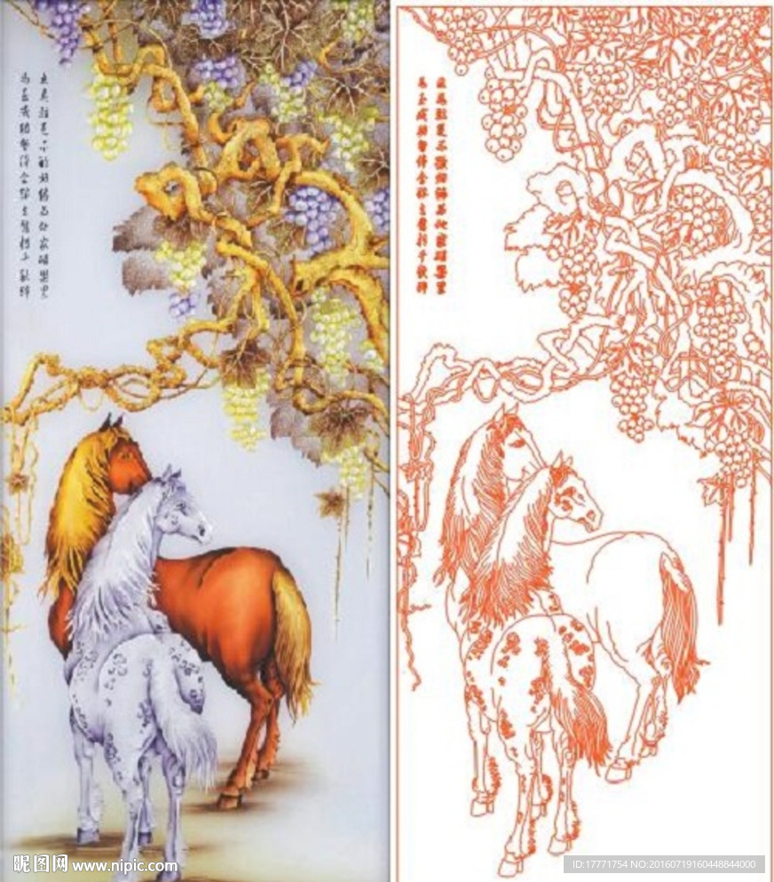葡萄树马