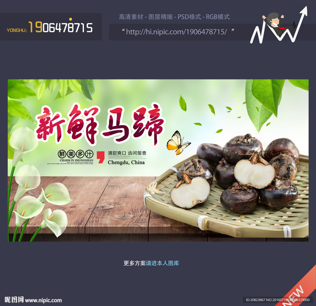 马蹄