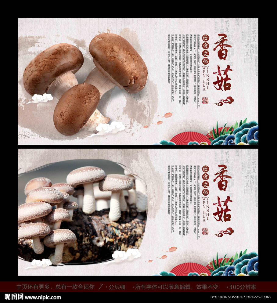 香菇