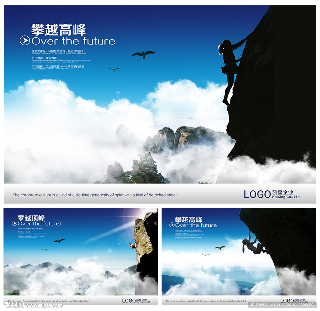 公司宣传册