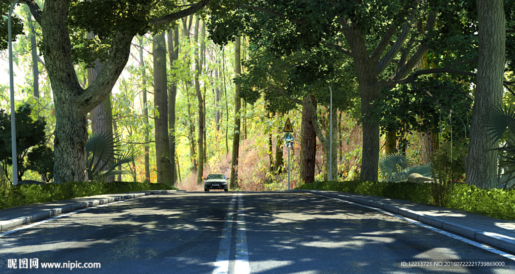 树林公路
