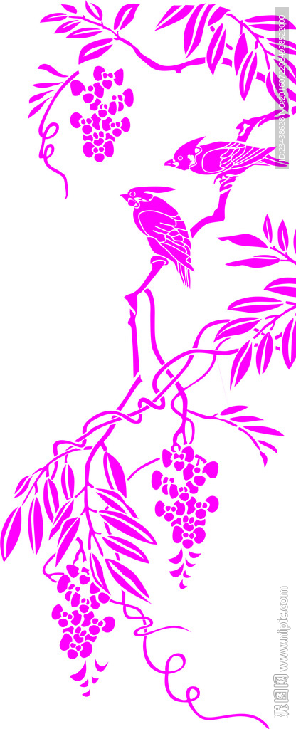 小鸟