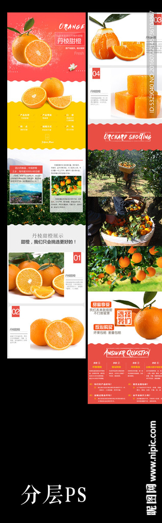 丹棱甜橙详情页