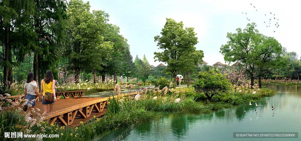 湿地公园芦苇景观效果图