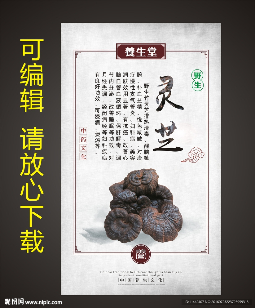 灵芝