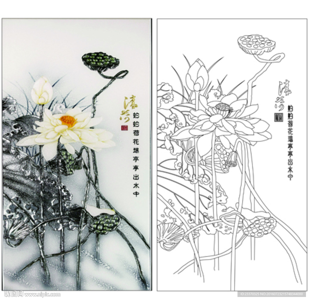 荷花
