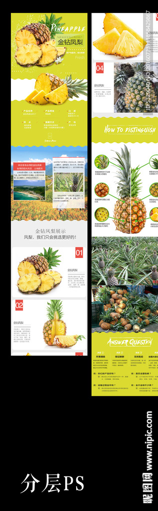 金钻凤梨详情