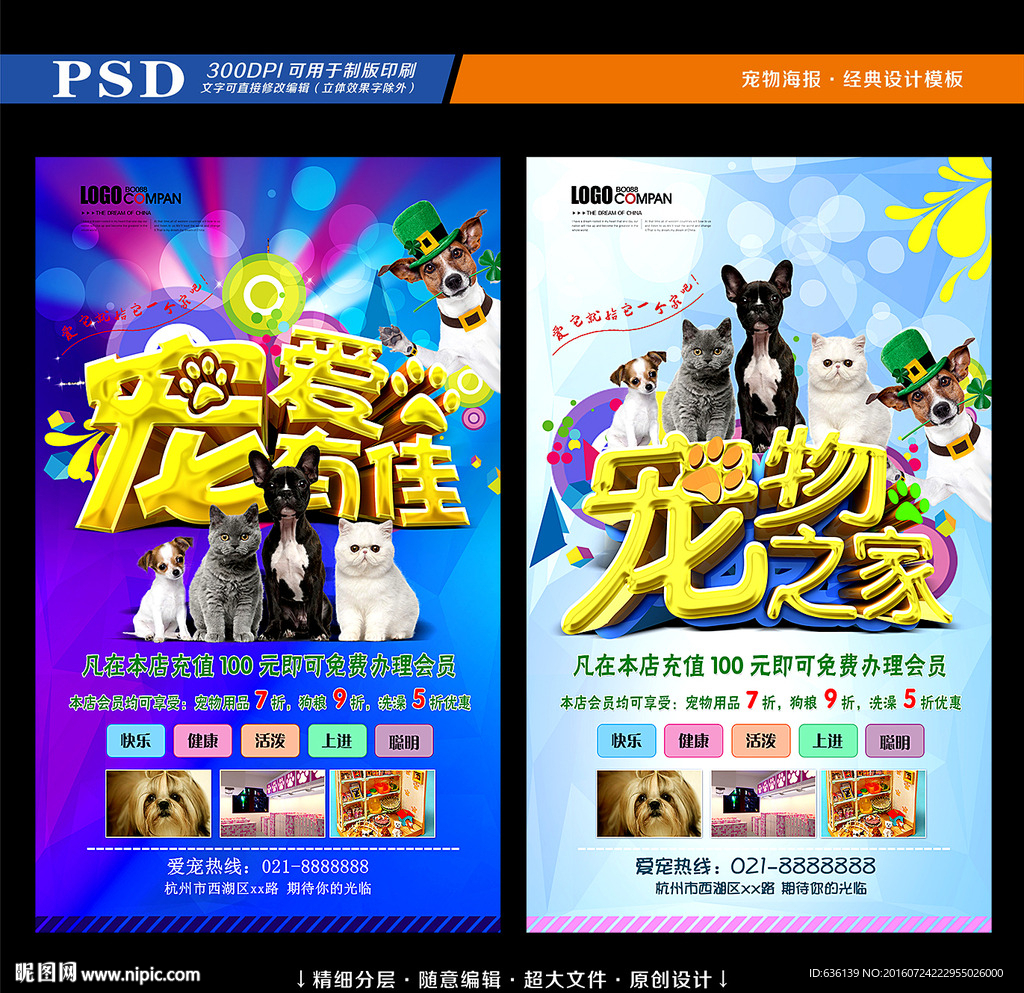宠物