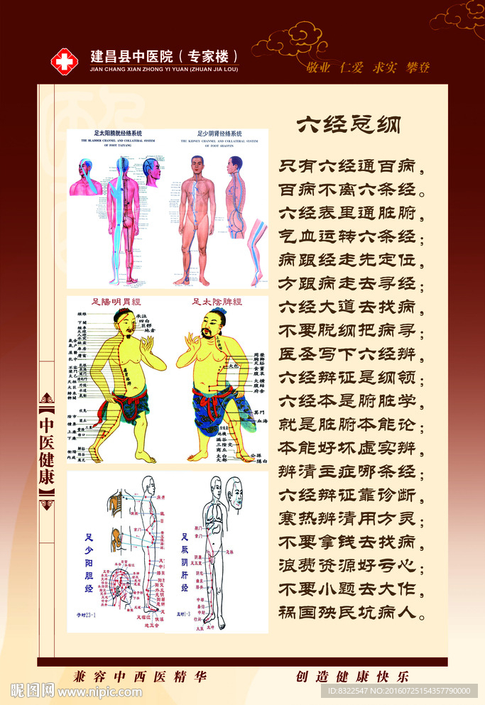 伤寒论六经总纲