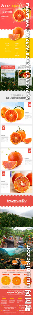 玫瑰血橙详情页