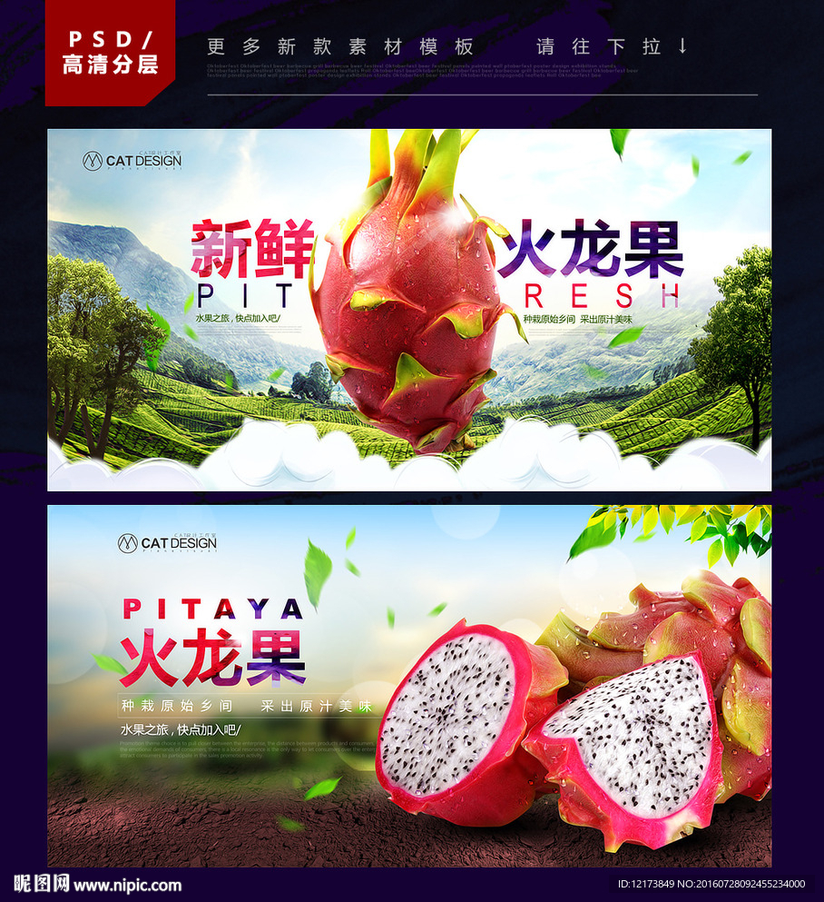 火龙果
