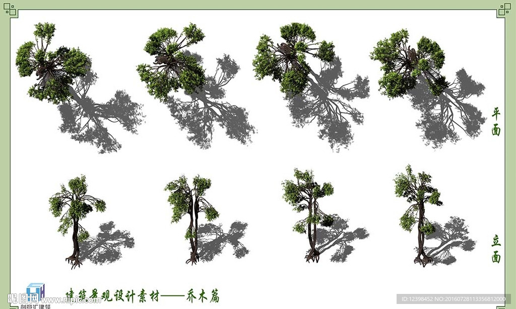 PS后期植物乔木素材
