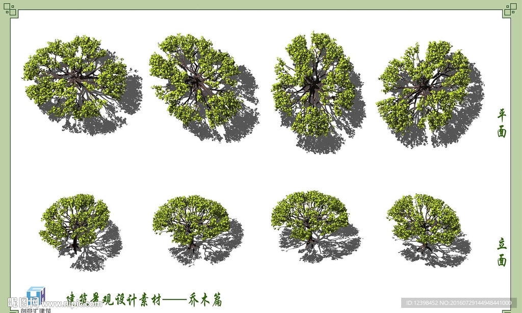 PSD分层景观树木素材