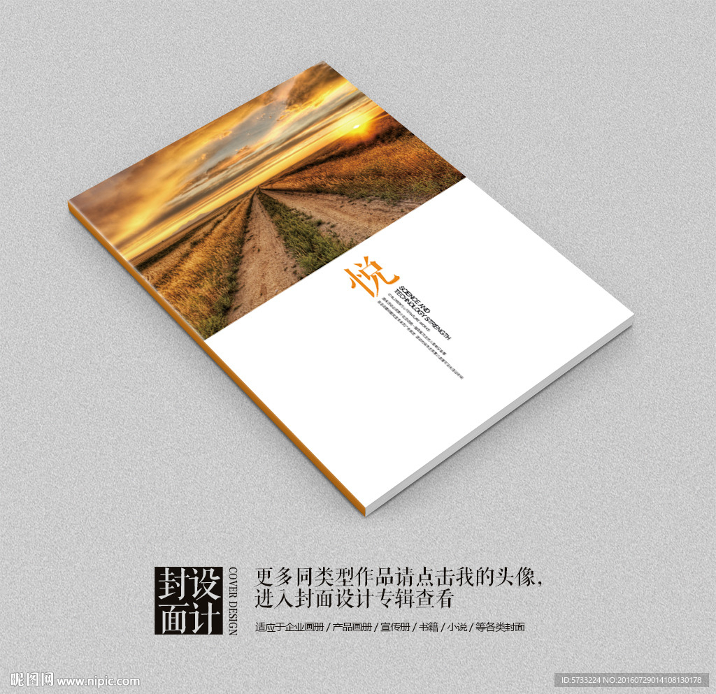 成功之悦企业品牌画册封面设计