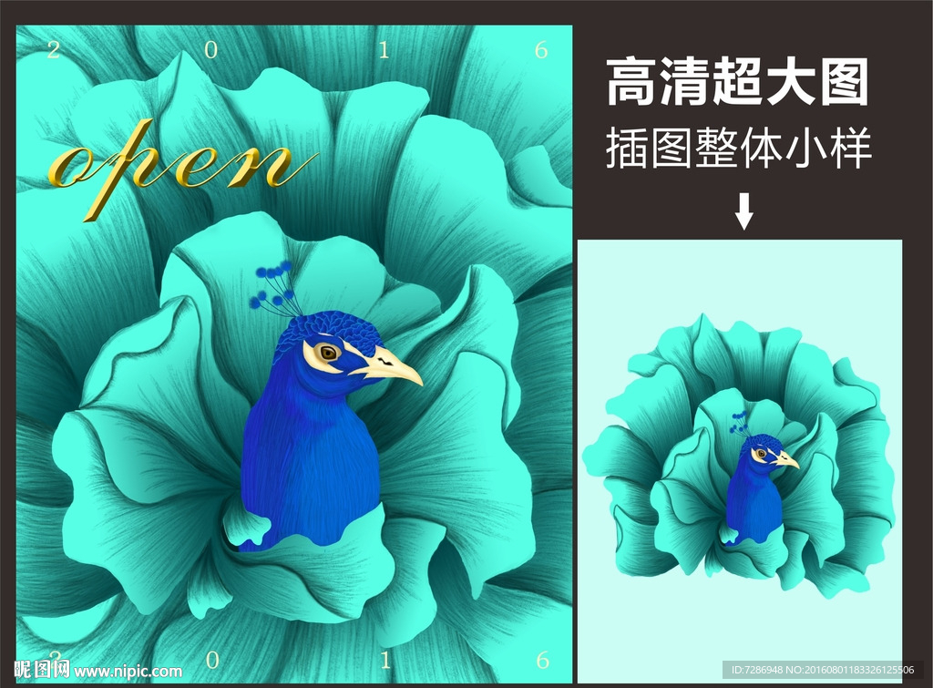 开盘孔雀