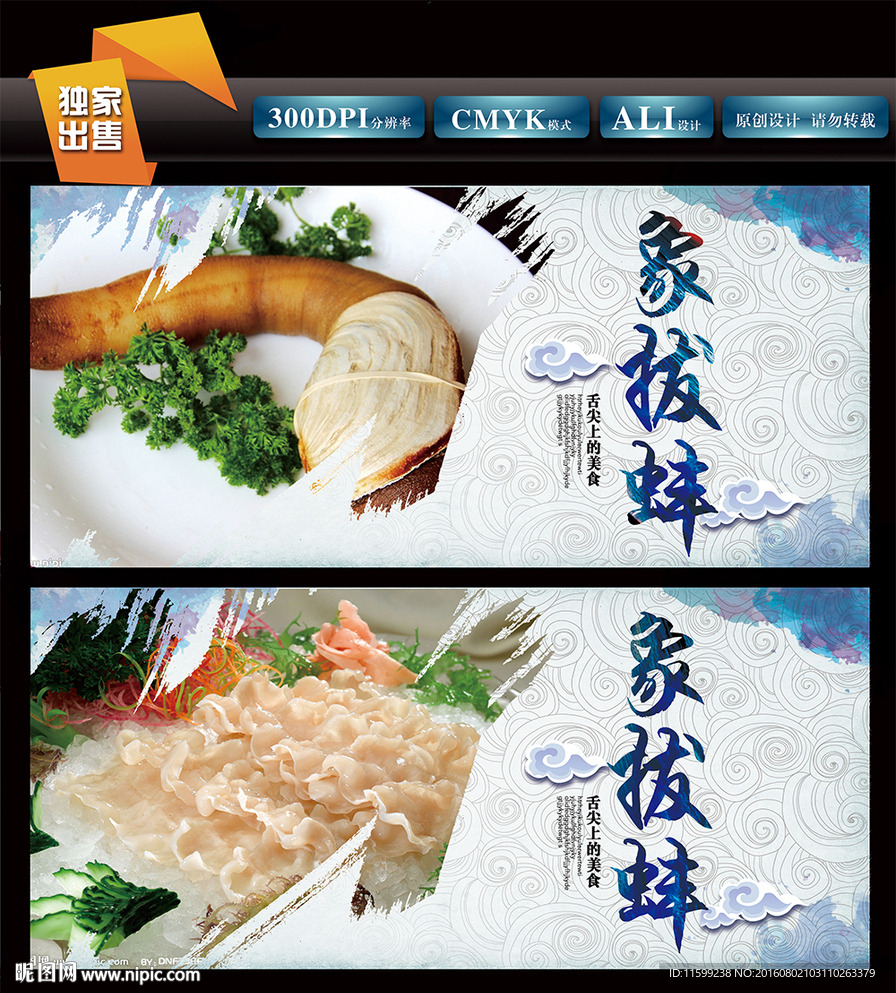 象拔蚌