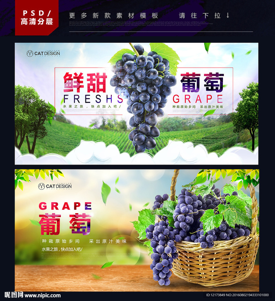 葡萄