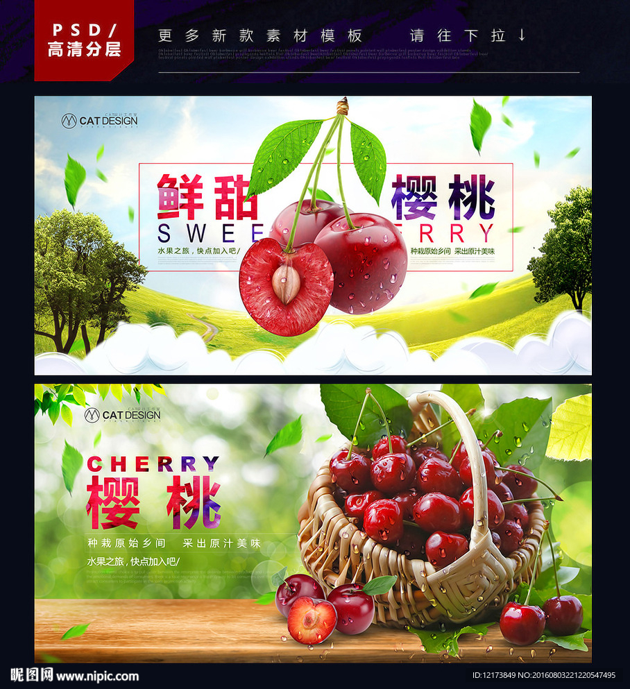 樱桃