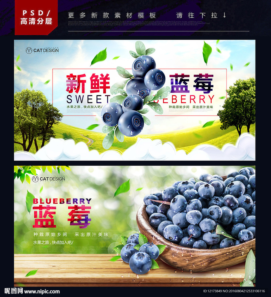 蓝莓
